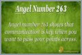 263 Angel Number Meaning - Pulptastic