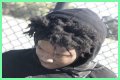 Swift Quis - Age, Family, Bio
